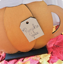 Load image into Gallery viewer, Pumpkin Spice
